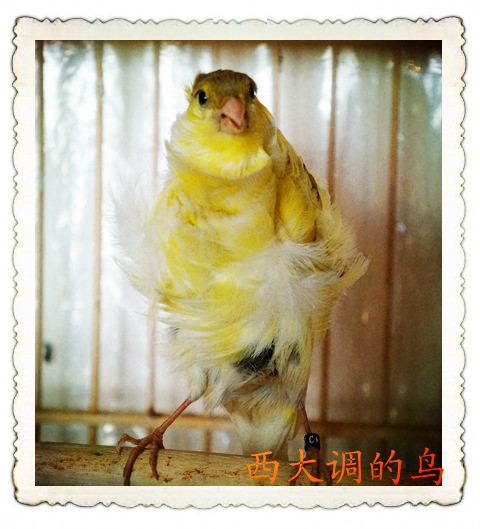 DSC00713_副本_副本.jpg