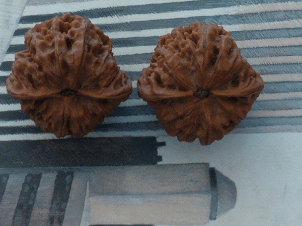 IMG20121130121235.jpg