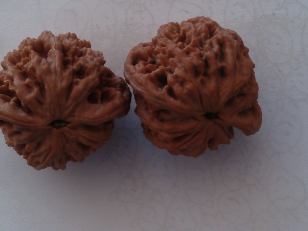 IMG20121130121638.jpg