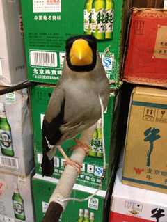 IMG_0456_副本.jpg