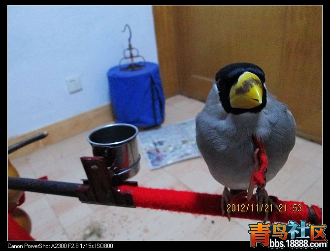 nEO_IMG_IMG_0999.jpg