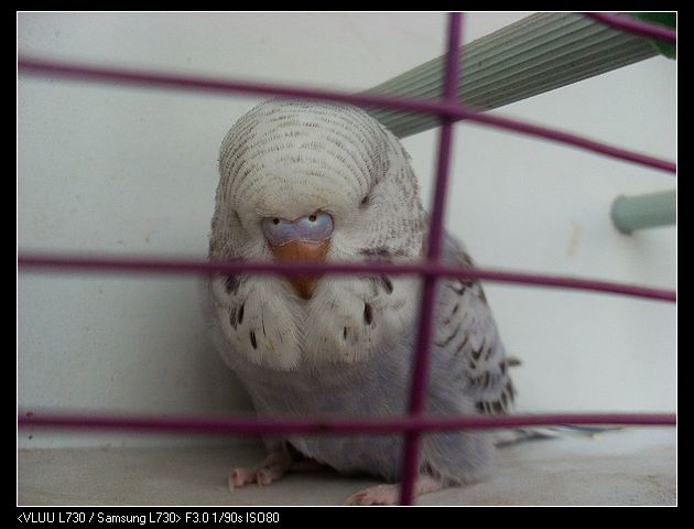 nEO_IMG_SL372306.jpg