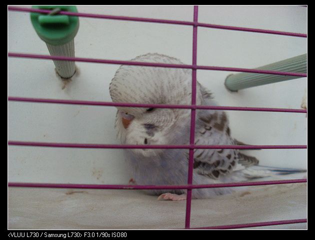 nEO_IMG_SL372305.jpg