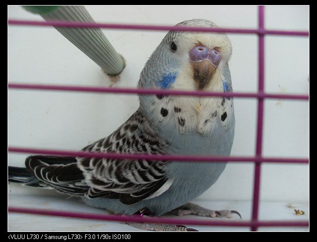 nEO_IMG_SL372328.jpg