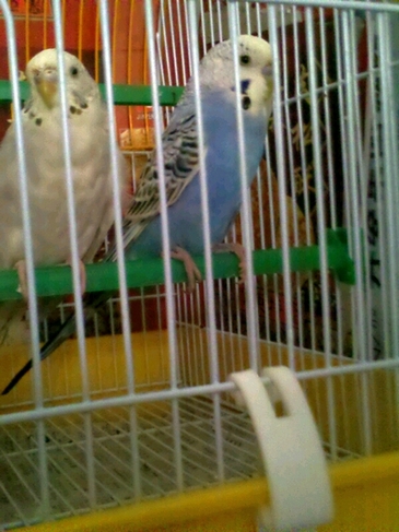 MA201203291538220082-12.jpg