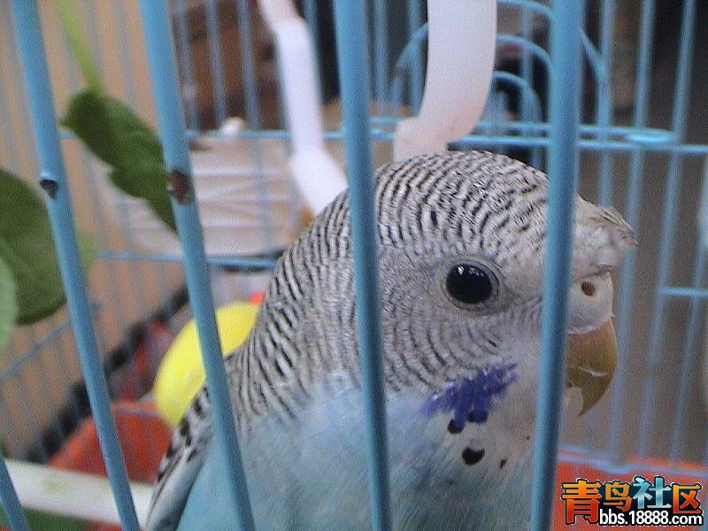 news_2012111223943.jpg