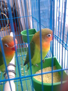 IMG_20121123_143547.jpg