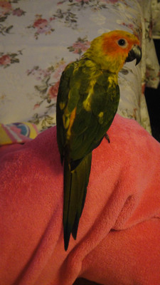 DSC03951.jpg