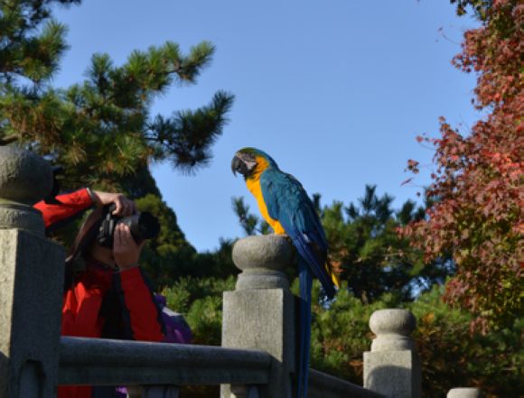 照片 136.jpg