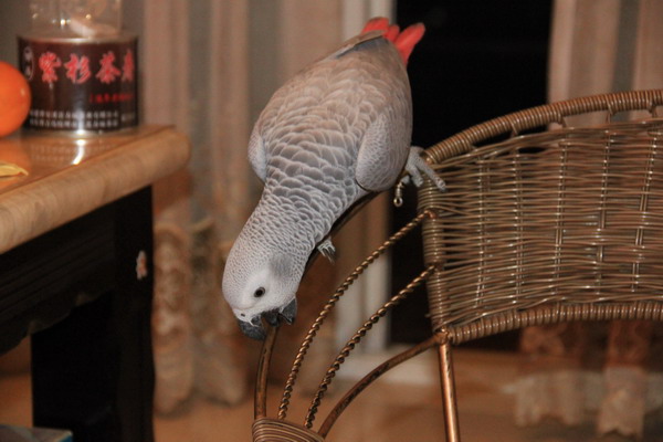IMG_6928.JPG