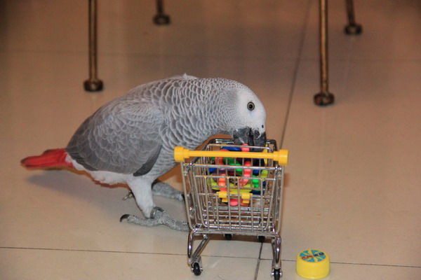 IMG_6924.JPG