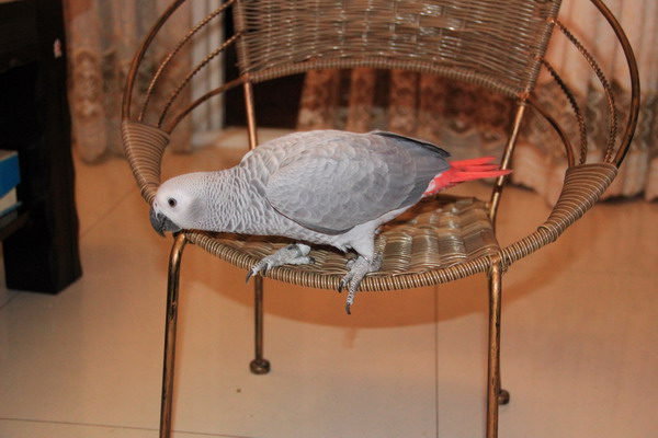 IMG_6931.JPG
