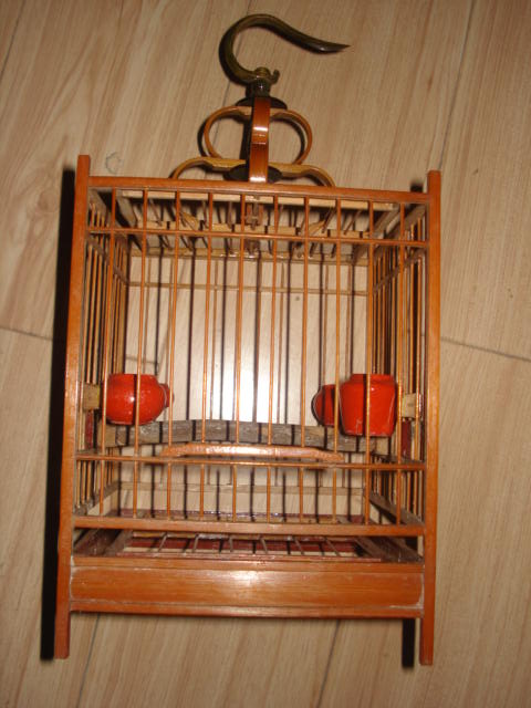 DSC05414.JPG
