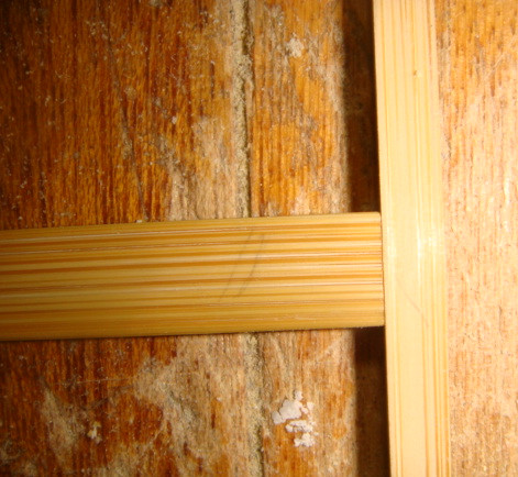 DSC05804_副本.jpg