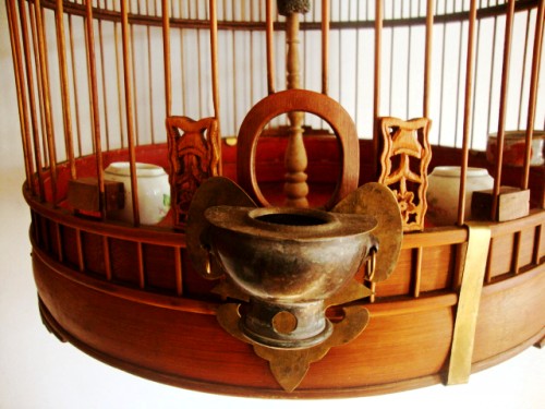 DSC00508_conew1.jpg