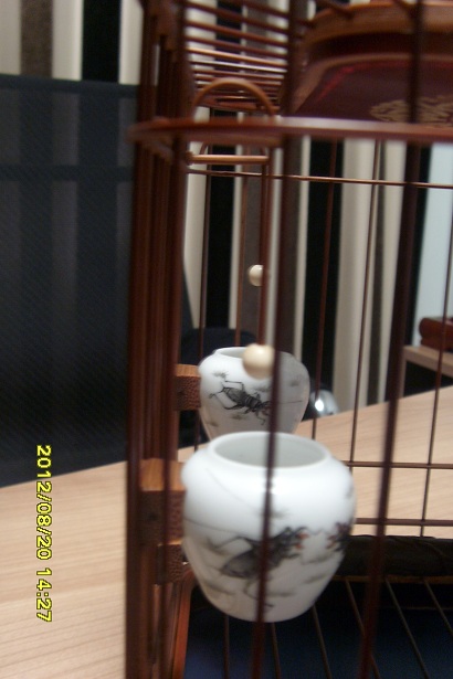 S73R0036.JPG