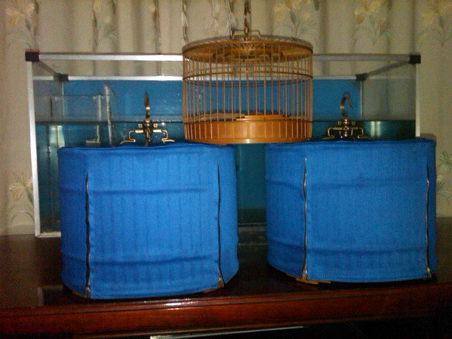 IMG00124-20121130-1810.jpg