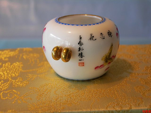 DSCN7794.jpg