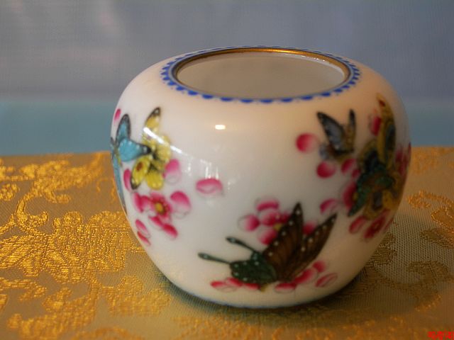 DSCN7787.jpg