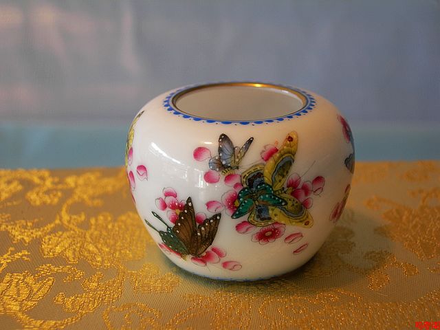 DSCN7785.jpg
