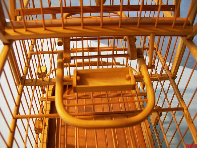 DSCN8325.jpg