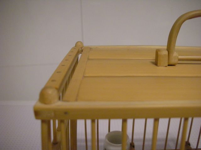 带鸟笼 (15).JPG