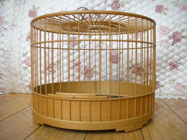 棉 二 (2).JPG