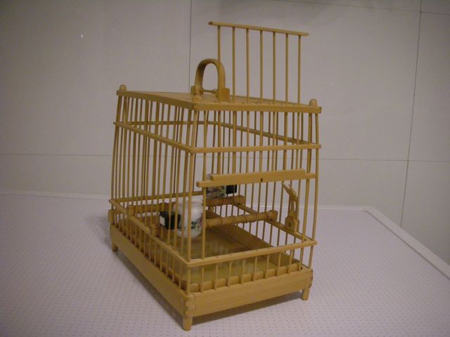 带鸟笼 (8).JPG