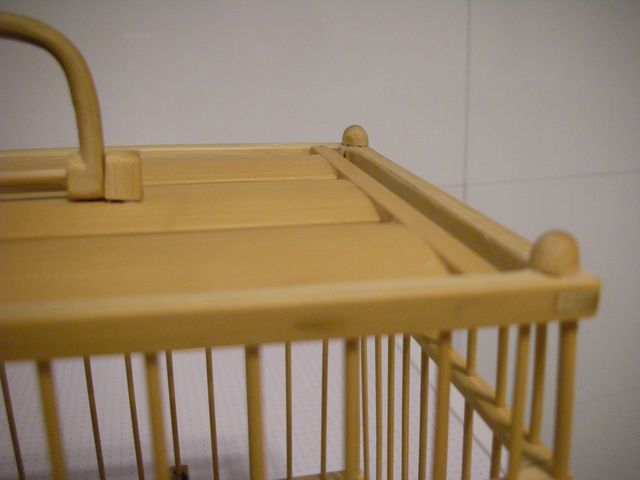 带鸟笼 (16).JPG