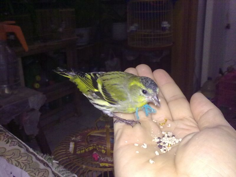 20121106219.jpg