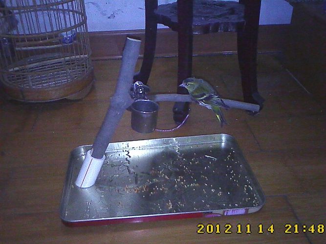 IMG0259.jpg