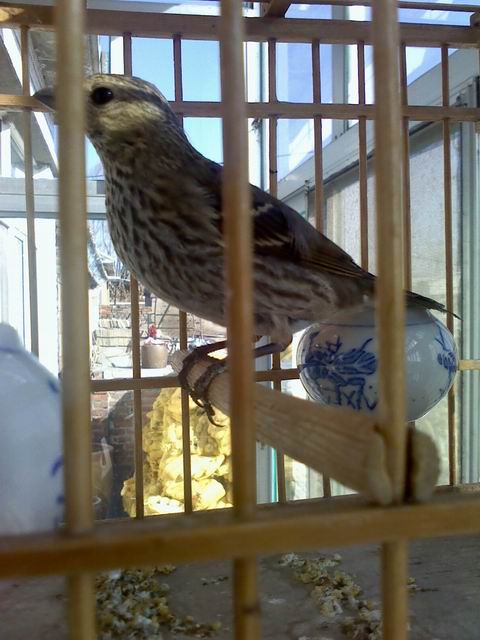 IMG_20121129_115157.jpg