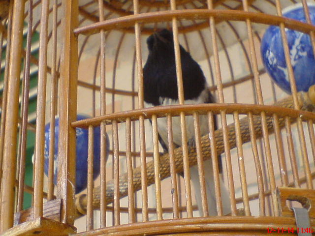 DSC00471.JPG