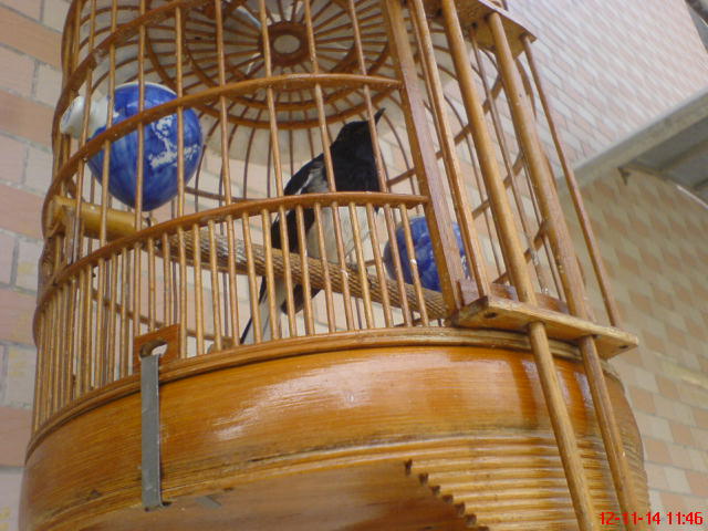 DSC00469.JPG