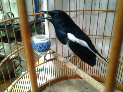 2012-10-15_12.44.31.jpg