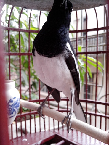 IMG_20121021_132019.jpg