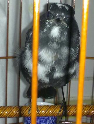 21022010071-1.jpg