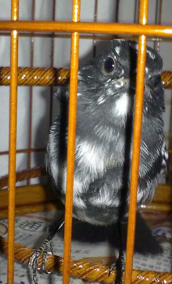 21022010059-1.jpg