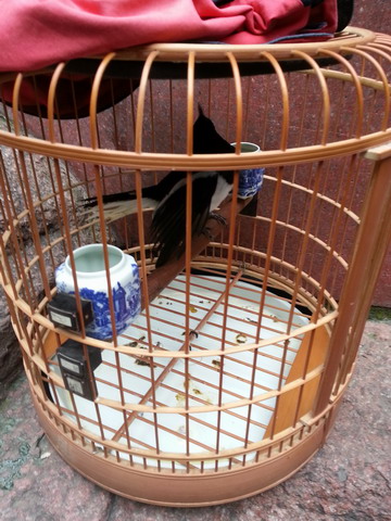 20121111_104047.jpg
