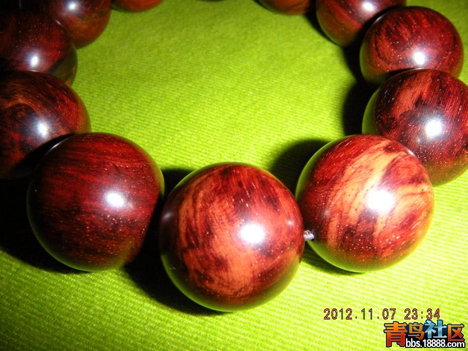 DSCN1568.JPG