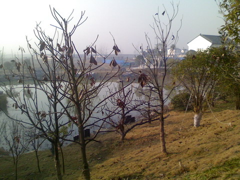 IMG1117085502_缩小大小.jpg