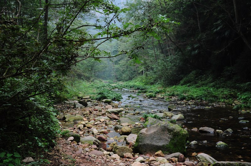 DSC_0922.JPG
