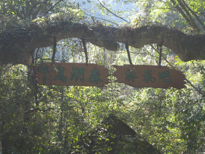 IMG_1199_副本_副本.jpg