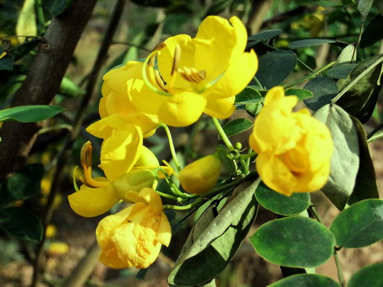 DSCF3353_调整大小.jpg