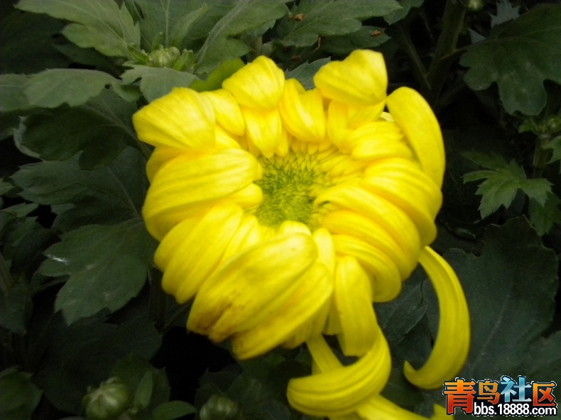 DSCN9238.jpg