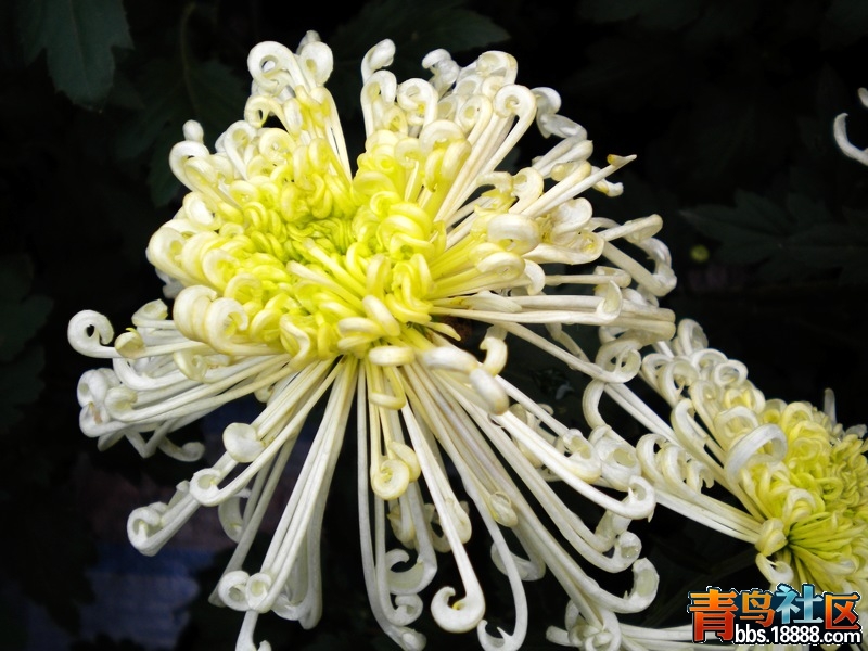 DSCN9254.jpg