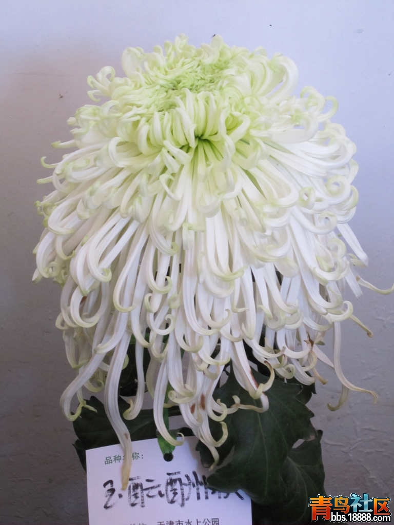 照片 530.jpg