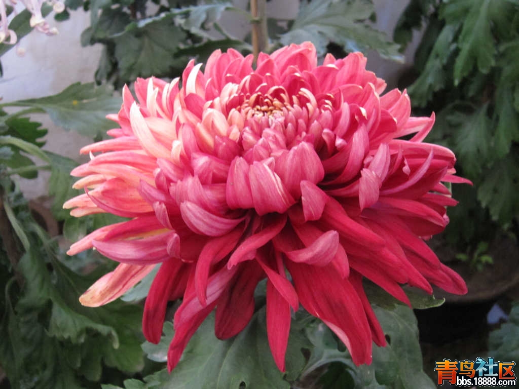 照片 540.jpg