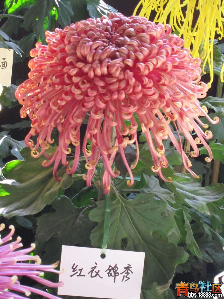 照片 554.jpg