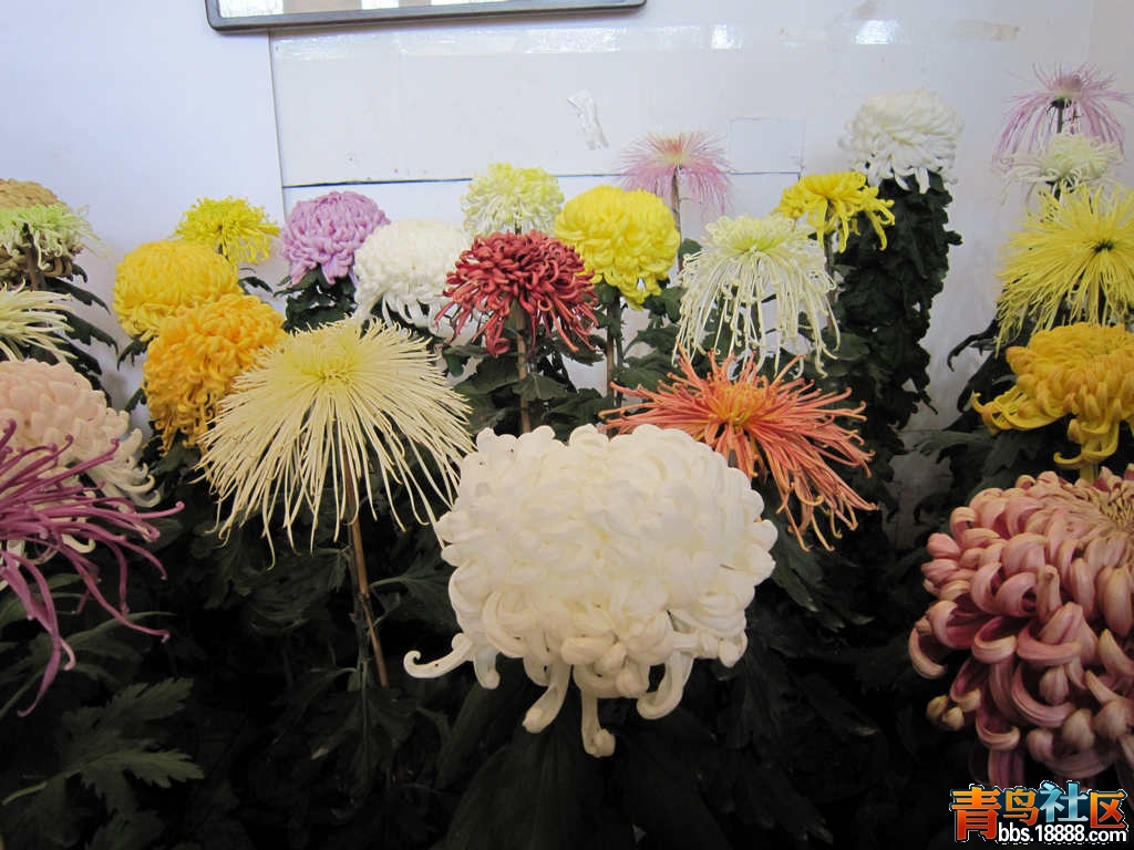 照片 547.jpg